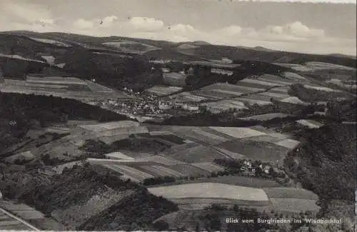 Wiedbachtal - Blick vom Burgfrieden - 1959