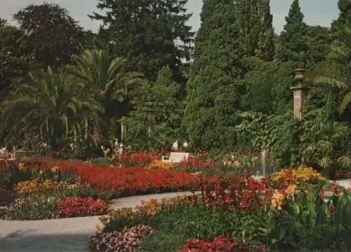 Bad Pyrmont - Palmengarten - ca. 1985