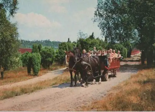 Lüneburger Heide - Ausfahrt in der Heidekutsche - ca. 1980