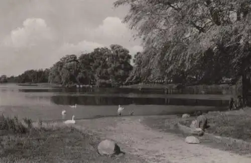 Grevesmühlen - Vielbeckersee - 1960