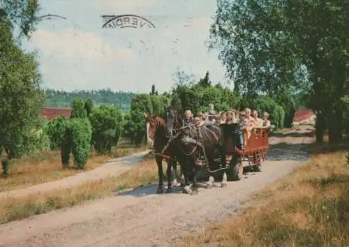 Bispingen - Heidefahrt - 1983