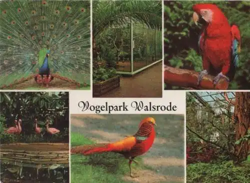 Walsrode - Vogelpark - 1982