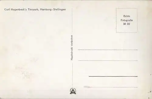 Hamburg-Stellingen - Hagenbecks Tierpark