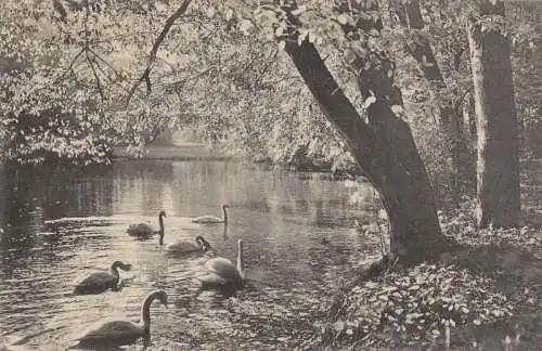 Meiningen - Englischer Garten