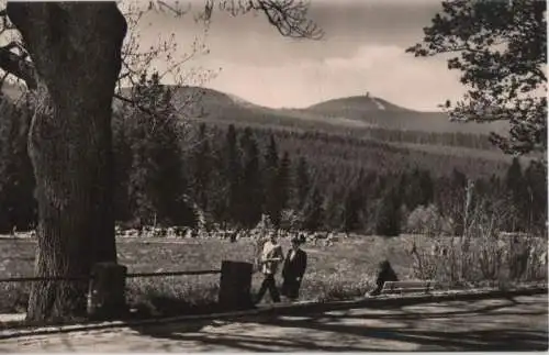 Schierke - Promenade mit Blick zum Wurmberg - 1968