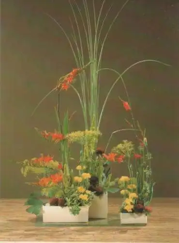 Monbretien Arrangement