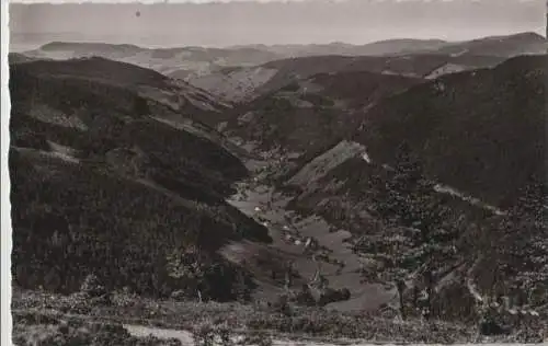 Feldberg / Schwarzwald - Blick ins Wiesental - ca. 1960