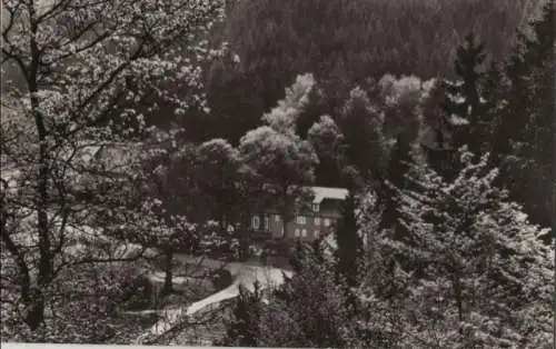 Siegen-Eiserfeld - Hof Obere Hengsbach - 1967