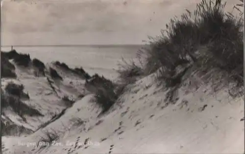 Niederlande - Niederlande - Bergen Aan Zee - Zee en Duin - 1958