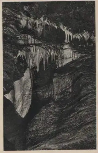 Syrau - Elefantenohr der Drachenhöhle - 1933