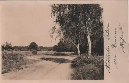 Fahrweg am Waldrand