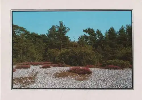 Rügen - Landschaft