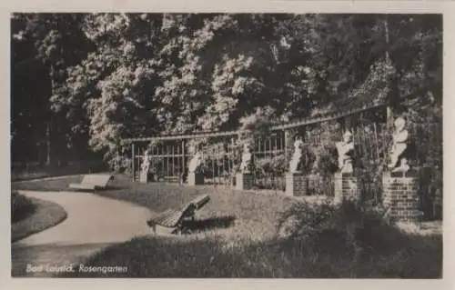 Bad Lausick - Rosengarten - ca. 1955