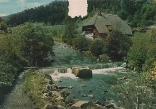 Schwarzwald - an der Gutach - 1972