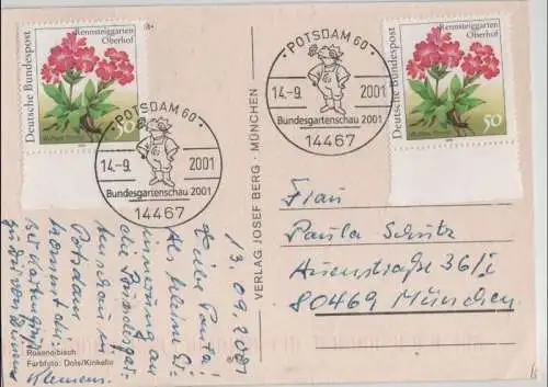 Roseneibisch Sonderstempel