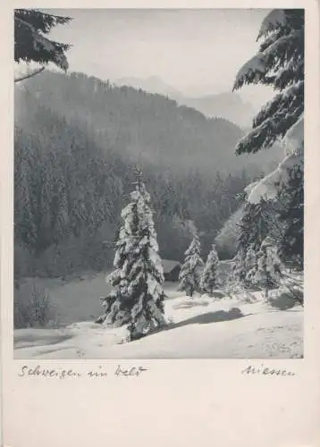 Wald - Schweigen - ca. 1950