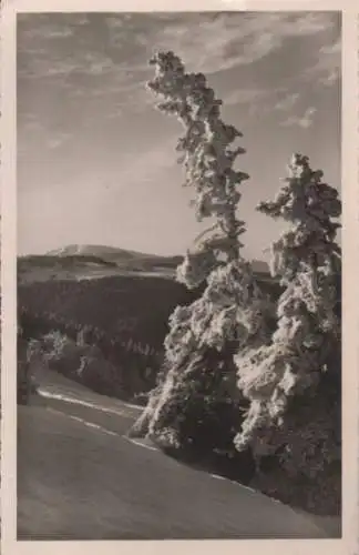 Feldberg / Schwarzwald - Blick zum Herzogenhorn - 1955