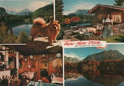 Freibergsee - Chow-Chow-Hütte - ca. 1975