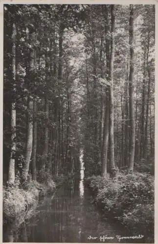 Spreewald - 1938