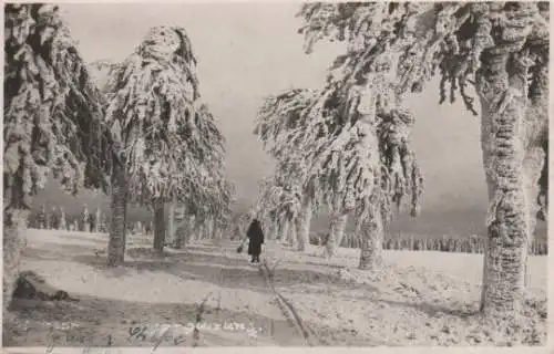 Spaziergängerin im Schnee - ca. 1935