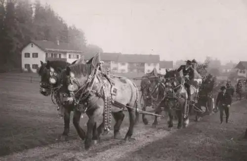 Bad Tölz - Leonhardifahrt - 1959