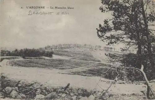 Frankreich - Argonne - Frankreich - Mamelon blanc