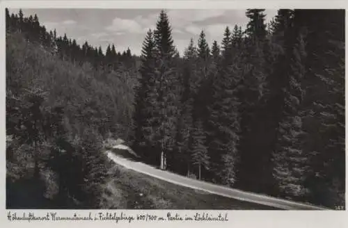 Warmensteinach - Partie im Löchleinstal - ca. 1955