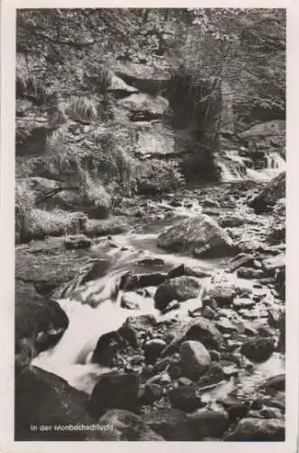 Bad Liebenzell - Monbachschlucht - 1971