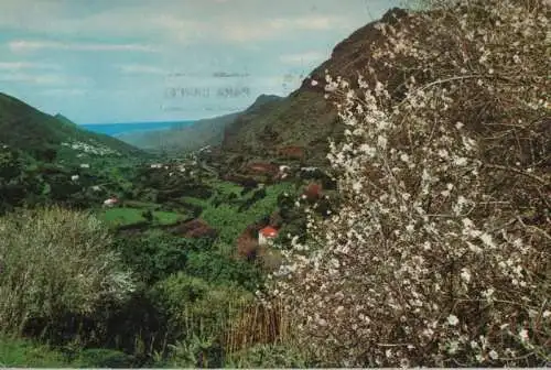 Spanien - Spanien - Las Palmas - Valle de Agaete - 1976