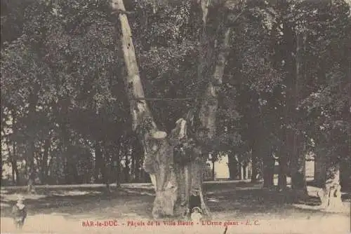 Frankreich - Bar-le-Duc - Frankreich - Paquis de la Ville Haute