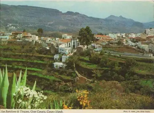 Spanien - Gran Canaria - Spanien - San Bartolome de Tirajana