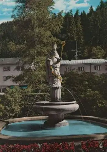 Sankt Blasien - Blasius-Brunnen - 1980