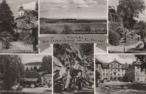 Mainau - Tropeninsel im Bodensee - 1955