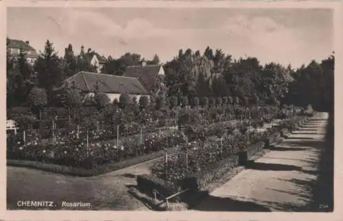 Chemnitz - Rosarium - 1938