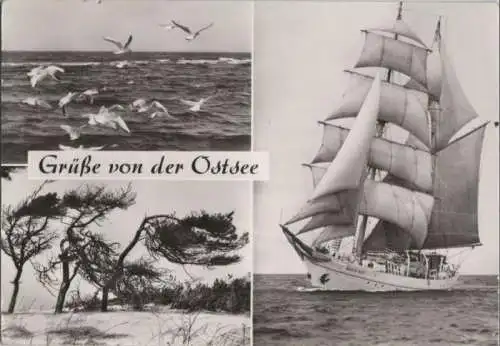 Ostsee - u.a. mit Segelschulschieff GST Wilhelm Pieck - 1980