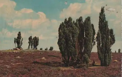 Dünenlandschaft - ca. 1965