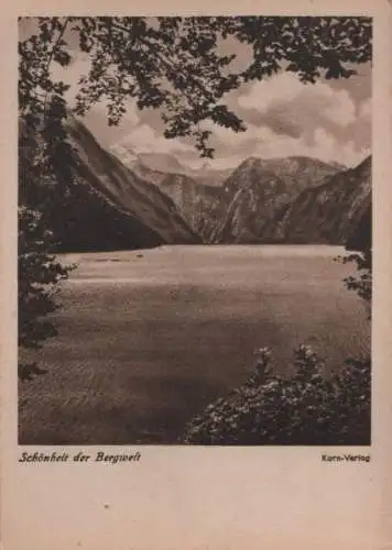 Schönheit der Bergwelt - ca. 1950