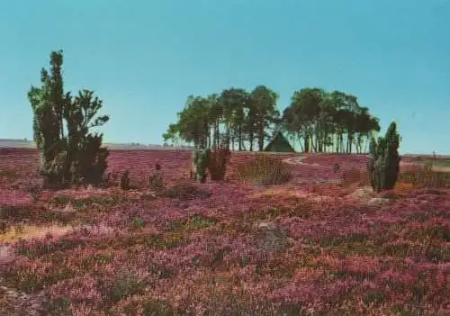 Lüneburger Heide - ca. 1980