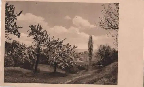 Landschaft mit blühenden Bäumen - 1939