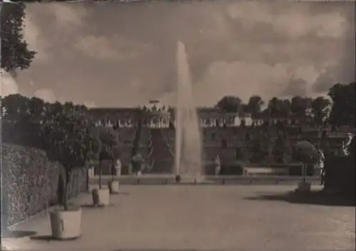 Potsdam - Terrassenanlage und Schloß Sanssouci - ca. 1965