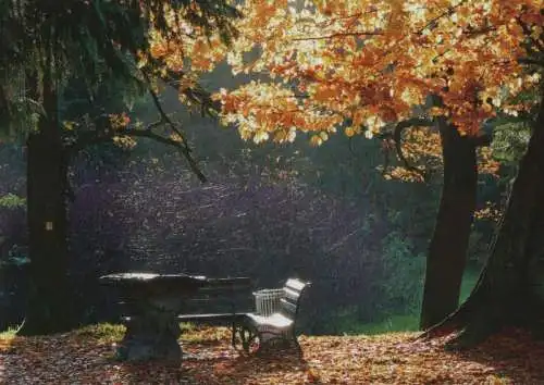 Herbst im Park