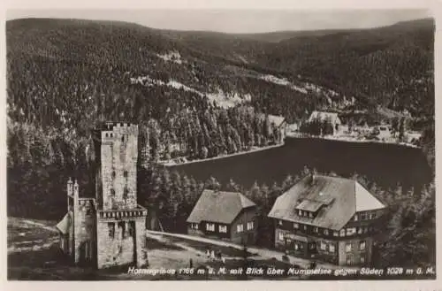 Hornisgrinde - Blick über Mummelsee