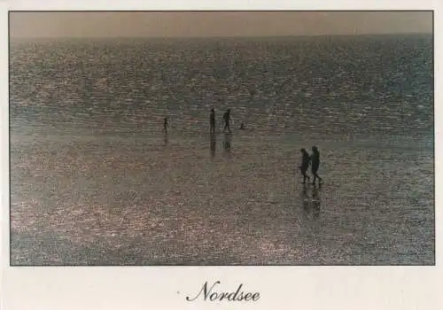 Nordsee - Wanderer