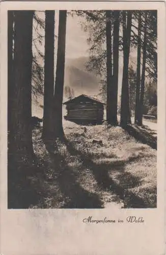 Morgensonne im Walde - ca. 1950