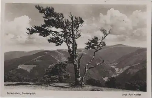 Schauinsland - Feldbergblick - 1935