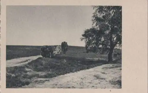 Weite Landschaft - ca. 1955