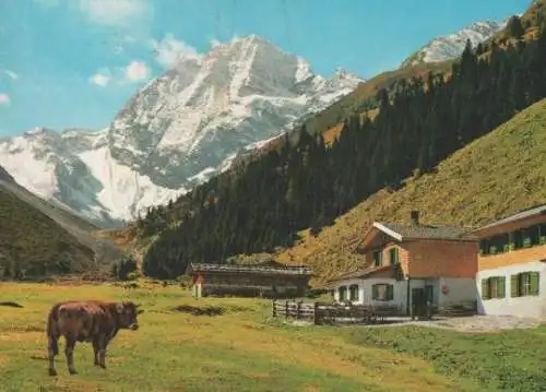 Österreich - Österreich - Stubaital - Pinnisalm u. Habicht - ca. 1975