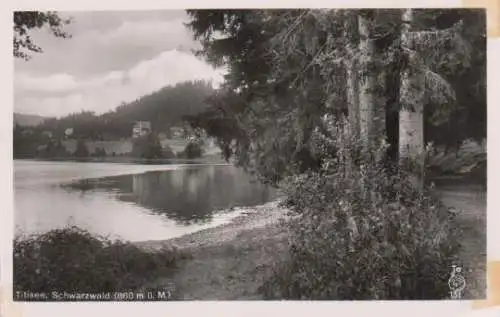 Titisee - Schwarzwald - ca. 1965