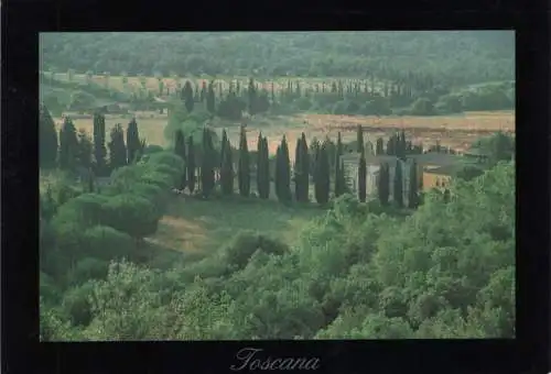 Italien - Toscana - Italien - Landschaft