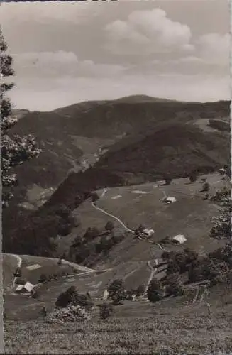 Schauinsland (Berg) - Blick zum Feldberg - 1960